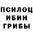 Галлюциногенные грибы Psilocybe bakytov_27_03@bk.ru