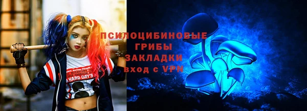крисы Алексин