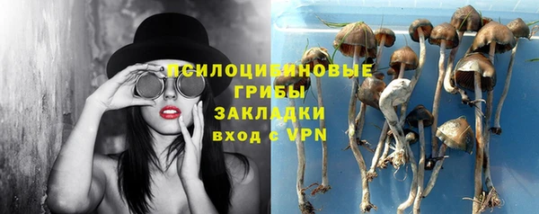 крисы Алексин